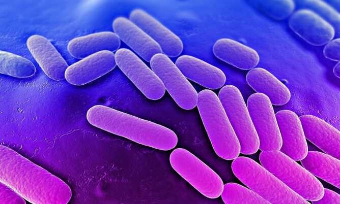Los medicamentos detienen el crecimiento de bacterias